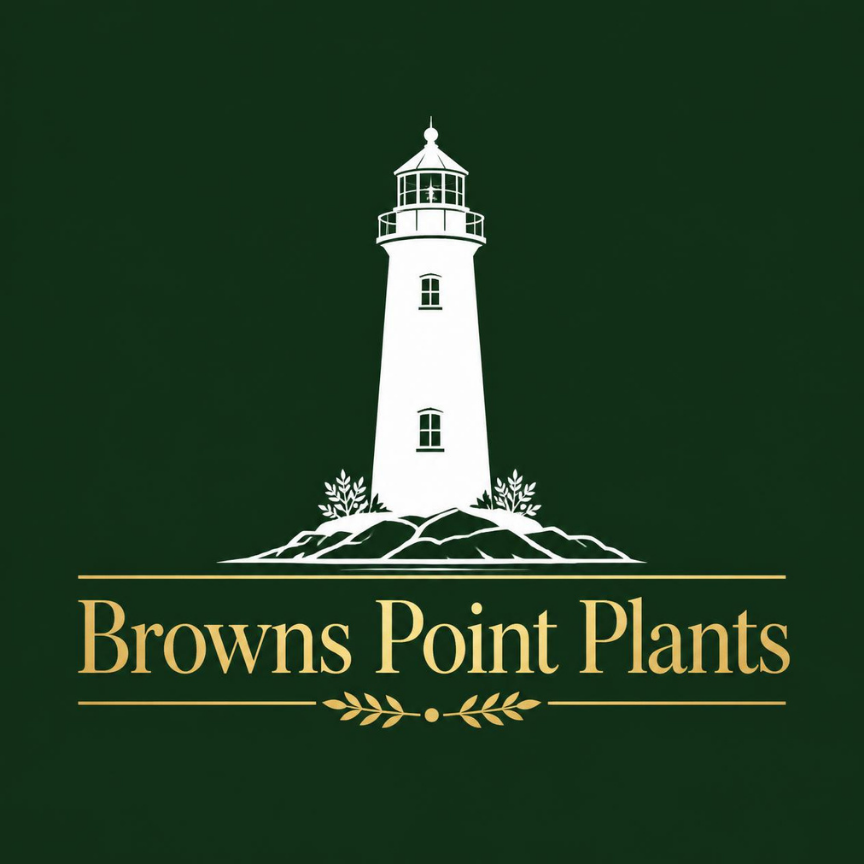 https://norpointsoccer.org/wp-content/uploads/sites/785/2026/09/browns-point-logo-option-2.png